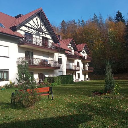 Belweder Apartamenty I Pokoje Wisla Bagian luar foto